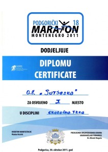 2011 maraton
